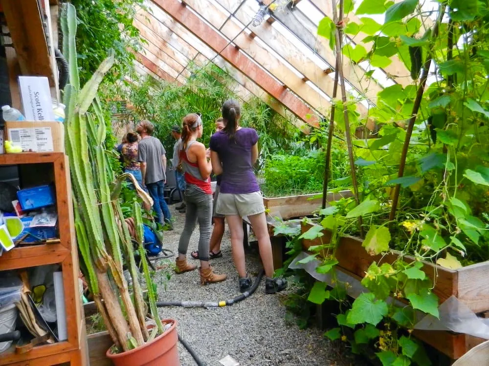 greenhouse microclimate permaculture