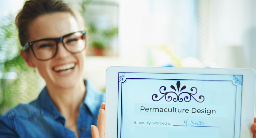 permaculture design certificate