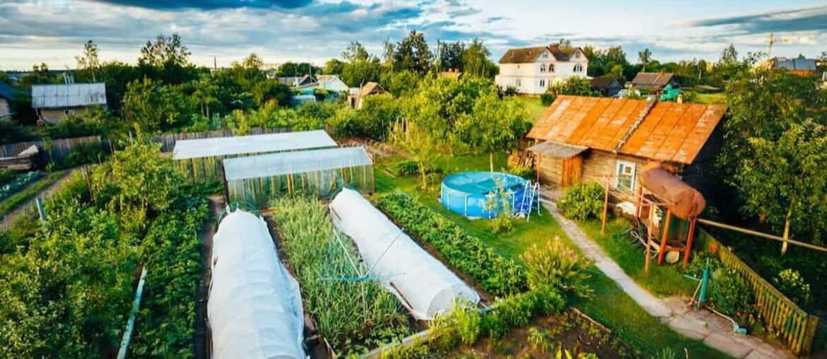 online permaculture design course for women permaculture 2